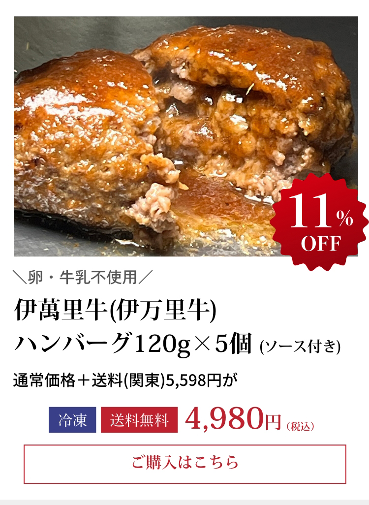 伊萬里牛(伊万里牛)ハンバーグ120g×5個(ソース付き)